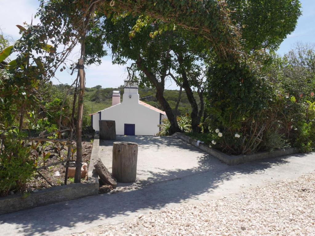 Herdade Amalia Rodrigues Zambujeira do Mar Luaran gambar