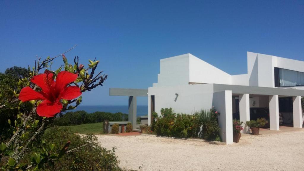 Herdade Amalia Rodrigues Zambujeira do Mar Luaran gambar